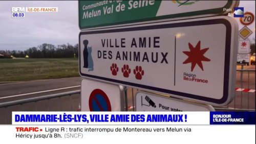 Seine-et-Marne: Dammarie-les-Lys, ville amie des animaux