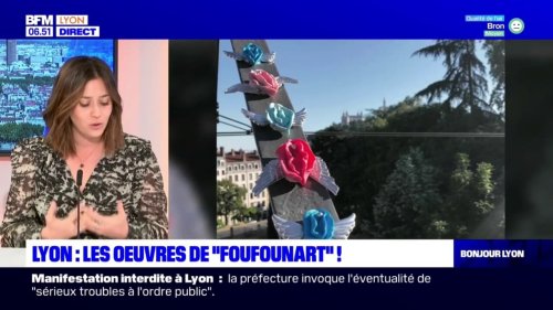 Lyon: découverte des œuvres de Foufounart