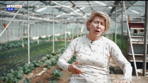 Dunkerque, un Cœur qui bat du lundi 19 mai 2025 : Les Halles des Sœurs Blanches - Collectif Bio DK