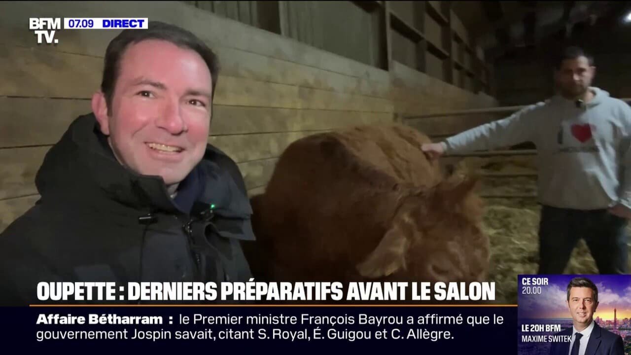Les derniers préparatifs d’Oupette, l’égérie du Salon de l’agriculture 2025, dans sa ferme à Dienné