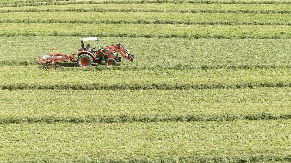 -29% pour la production de vin, -17% pour les récoltes de céréales: 2024, une année terrible pour l’agriculture française