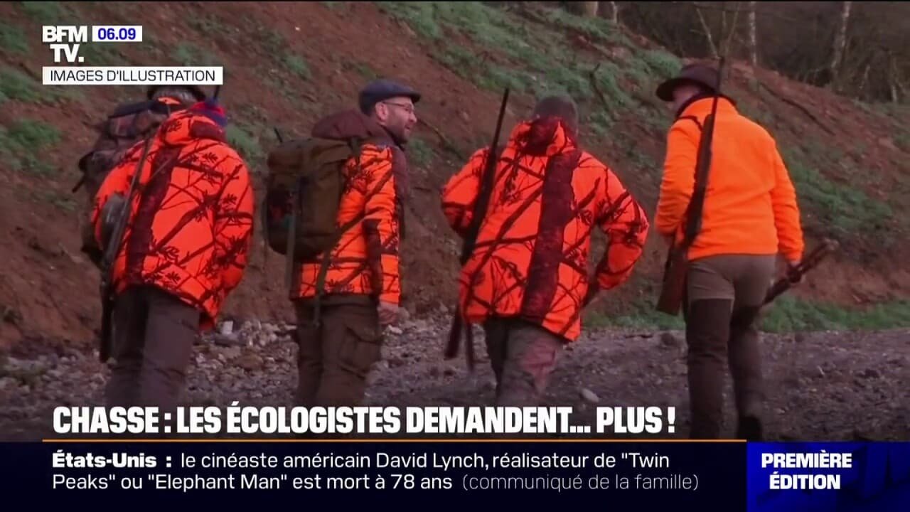 Haut-Rhin: les écologistes et les agriculteurs demandent aux chasseurs d’exécuter 2.000 cerfs au 1er février
