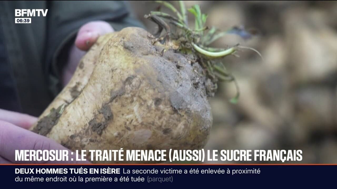 Accord Mercosur: les producteurs locaux de sucre français s’inquiètent