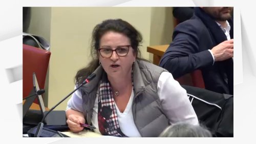 Une députée Renaissance critiquée pour ses propos sur les "mères qui choisissent" d'être AESH