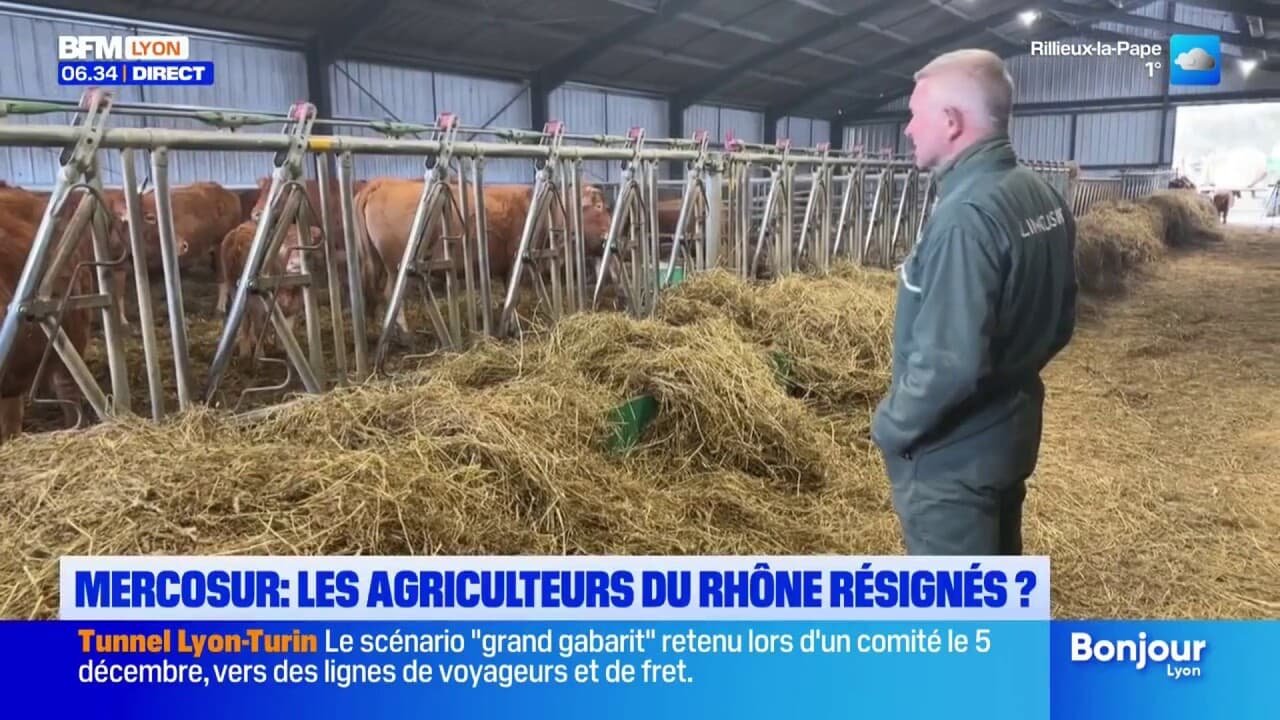 Mercosur: les agriculteurs du Rhône résignés?