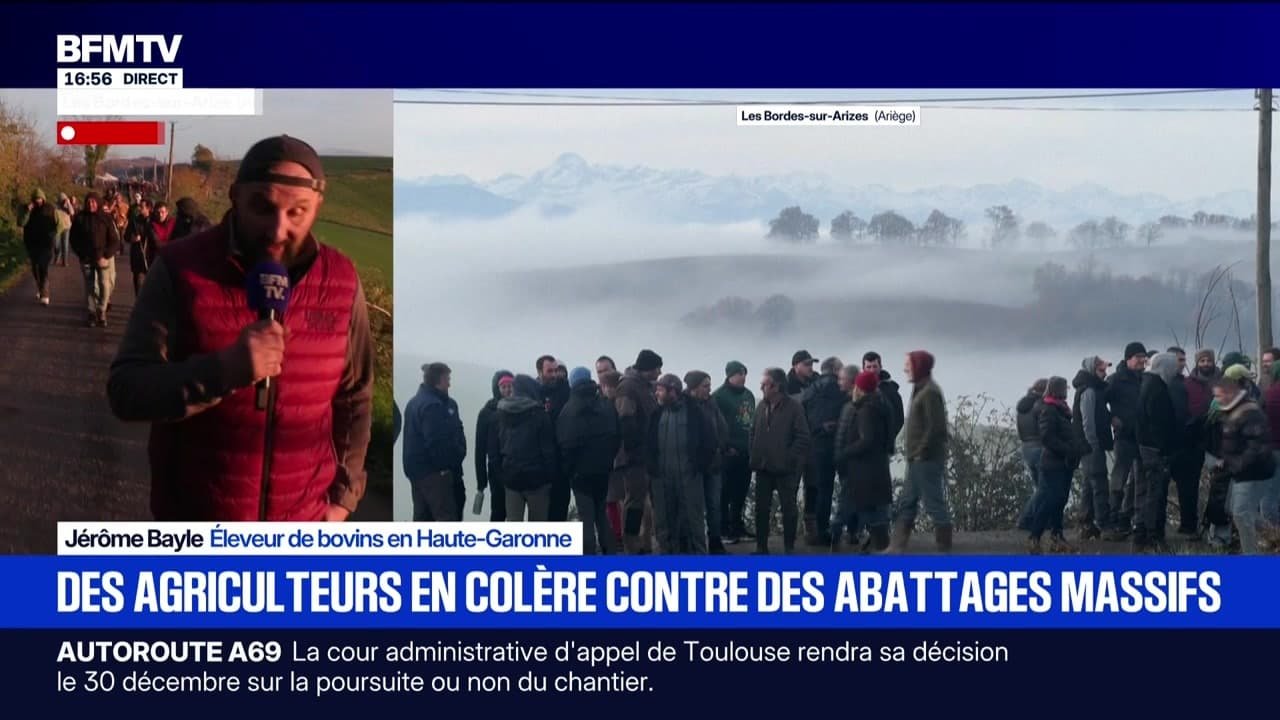 Marshall Truchot : Des agriculteurs en colère contre des abattages massifs – 11/12
