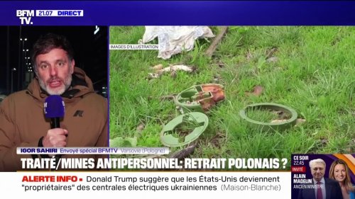 La Pologne et les pays baltes souhaitent sortir des accords d'Ottawa qui interdisent la production et l'emploi de mines antipersonnel