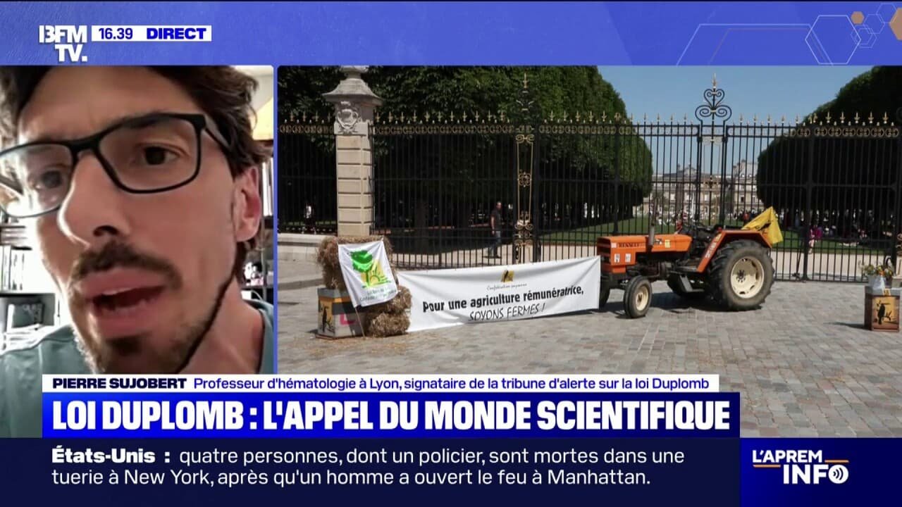 Loi Duplomb: « Le monde de la science et de la médecine a été complètement absent dans le processus d’élaboration de la loi », alerte ce professeur d’hématologie