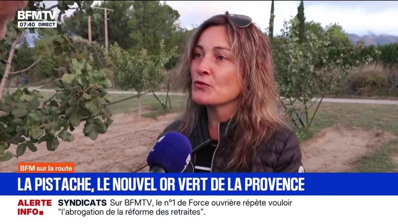 « Ça demande peu d’eau et peu d’entretien »: avec le réchauffement climatique, des agriculteurs se tournent vers la pistache, une espèce plus résistante à la sécheresse