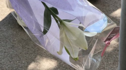 "C'est invivable": la colère et la tristesse des proches de l'enfant mort en tombant d'un immeuble à Grasse
