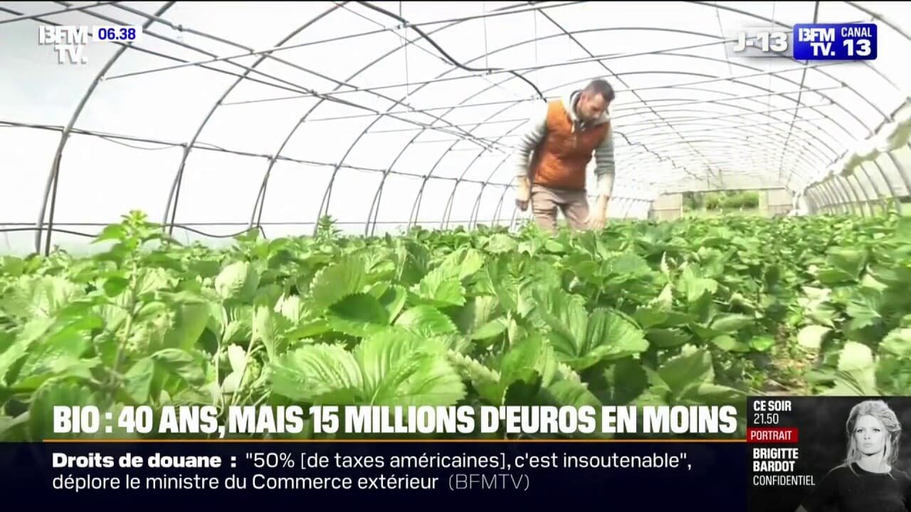 Agriculture bio: pour ses 40 ans, le ministère de l’Agriculture annonce une baisse de 15 millions d’euros des subventions