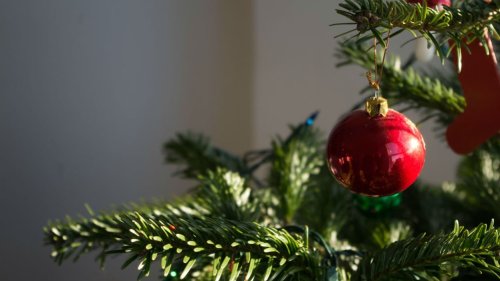 Loiret: à Givraines, le sapin de Noël volé quelques heures après avoir été installé