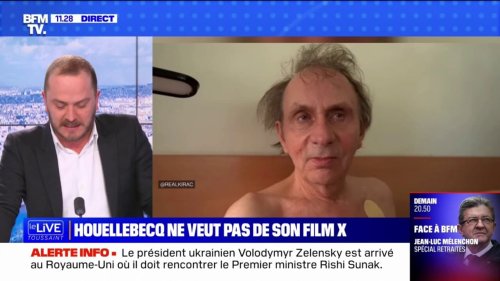 Michel Houellebecq veut faire interdire le film pornographique néerlandais le mettant en scène