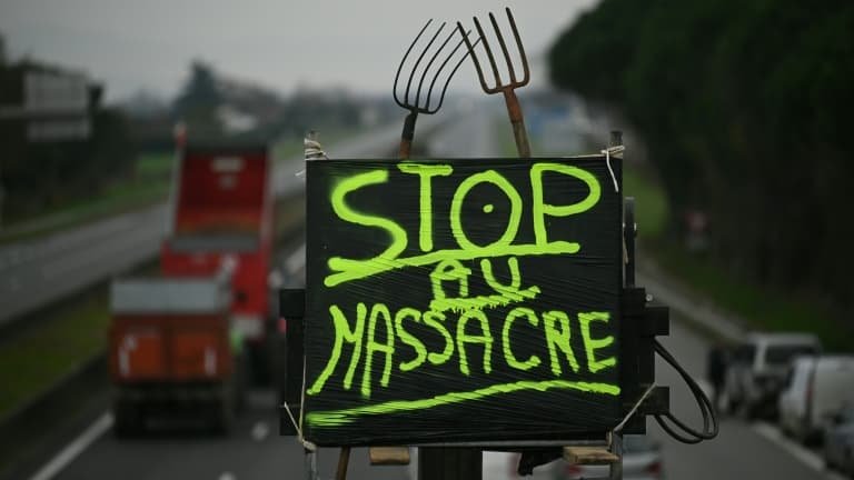 DIRECT. Colère des agriculteurs: des barrages routiers se poursuivent, malgré des appels à une « trêve » de Noël
