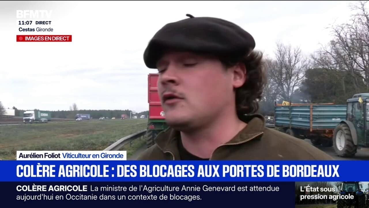 « On se sert les coudes entre agriculteurs »: des viticulteurs venus soutenir les éleveurs sur le point de blocage à Cestas en Gironde