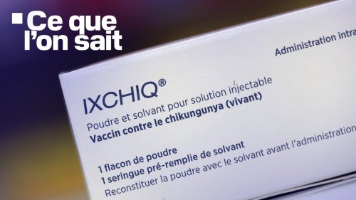 Chikungunya: ce que l'on sait des "événements indésirables graves" lors de la campagne de vaccination