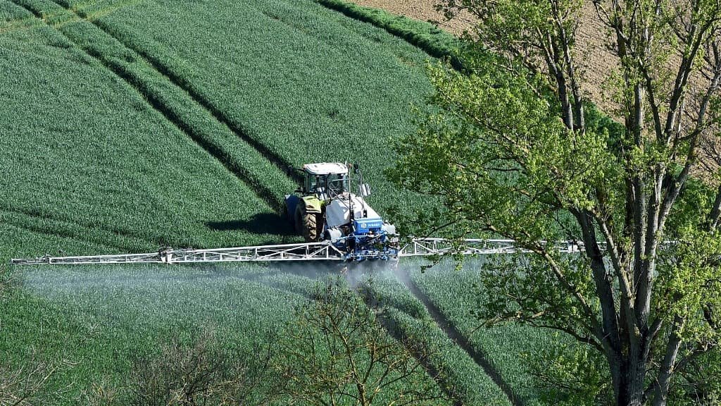 Candidats, dates, vote électronique… Ce qu’il faut savoir sur les élections agricoles dans les Alpes du Sud