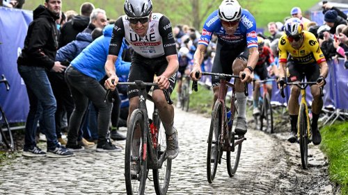 Cyclisme: "Le Tour des Flandres, c'est comme Noël et Pâques, c'est sacré"