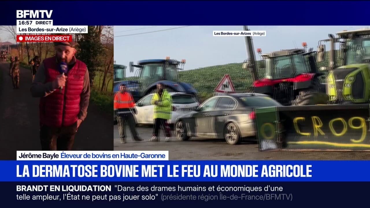 Dermatose bovine: « On va tuer des milliers d&rsquo;animaux », lance Jérôme Bayle, éleveur de bovins en Haute-Garonne