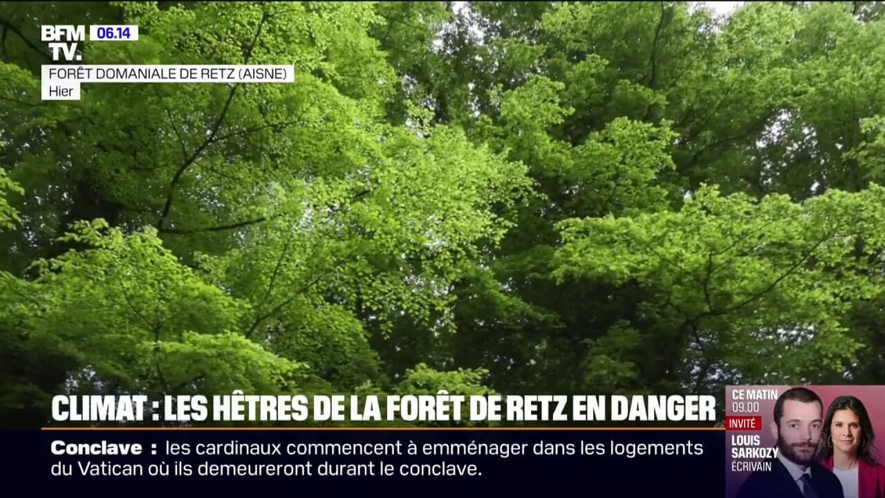 « Pour l’année, c’est foutu »: à cause de la grêle dans le Rhône, les récoltes sont ravagées