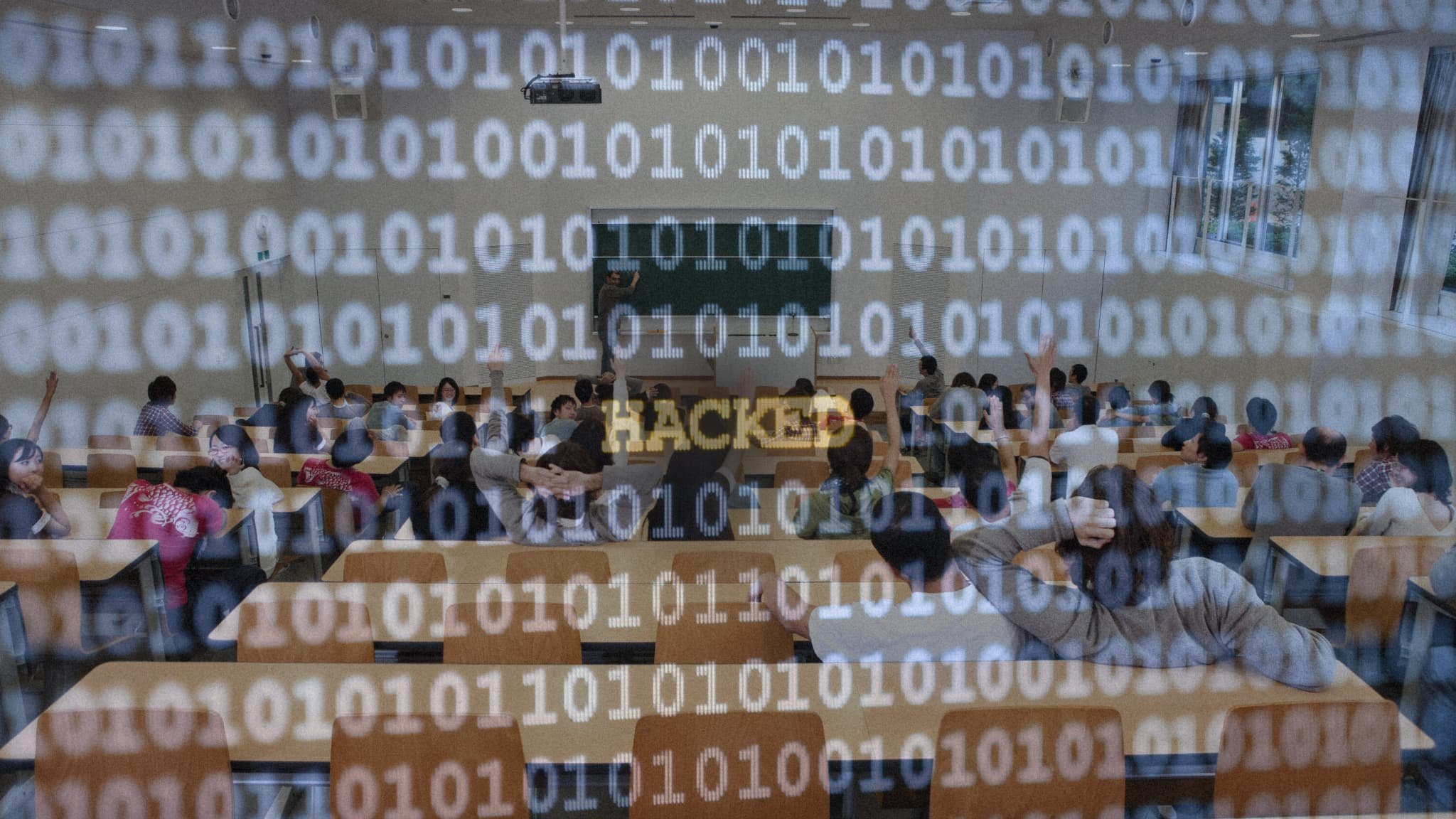 The Canvas Data Breach and the High Cost of Educational Monocultures