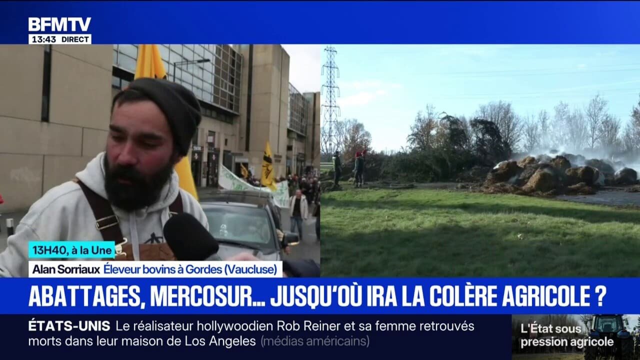 « On n’est pas à l’abri »: un agriculteur inquiet à cause de la lenteur de la vaccination contre la dermatose nodulaire