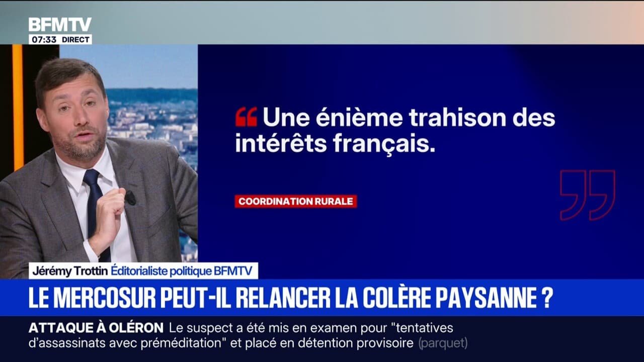 « Une énième trahison des intérêts français »: le Mercosur peut-il relancer la colère paysanne?