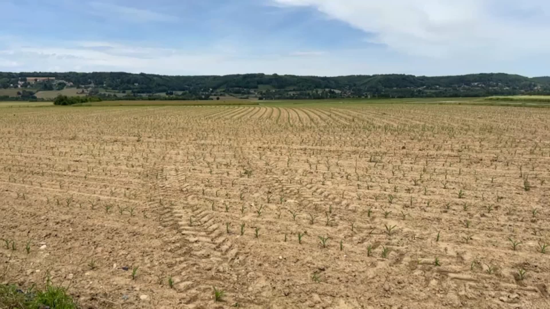 35 à 40% du PIB agricole menacé d’ici 2050 sans changement de modèle, selon une étude