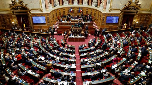 "Un acte d'hommage": le Sénat adopte un texte pour réhabiliter les femmes condamnées pour avoir avorté