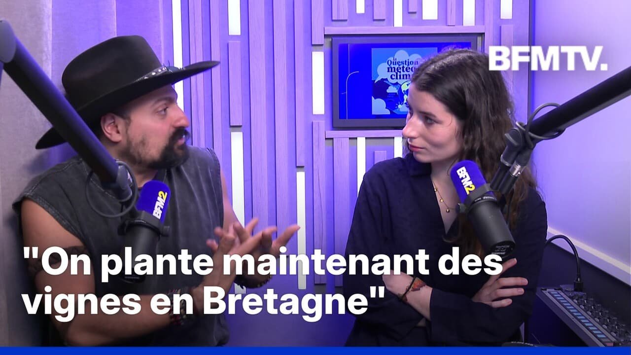 Sécheresse, canicule, pluies… À quoi ressemblera notre agriculture en 2050?