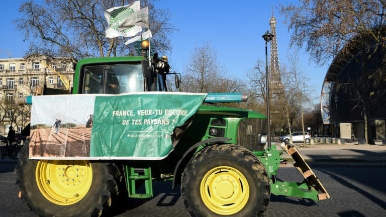 « C’est de l’hypocrisie »: des agriculteurs dénoncent la vente d’acétamipride en magasin, alors qu’ils n’ont pas le droit d’utiliser ce pesticide dans les champs