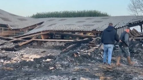 Incendies de hangars agricoles en Seine-Maritime: onze enquêtes ouvertes, le dispositif de sécurité renforcé