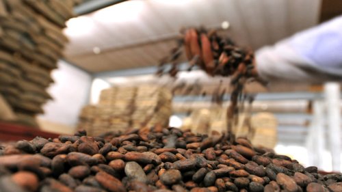 Pas de chocolat contaminé à la salmonelle chez les clients de Barry Callebaut