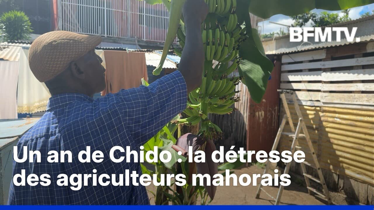 Un an après le cyclone Chido, les agriculteurs sont toujours dans la détresse