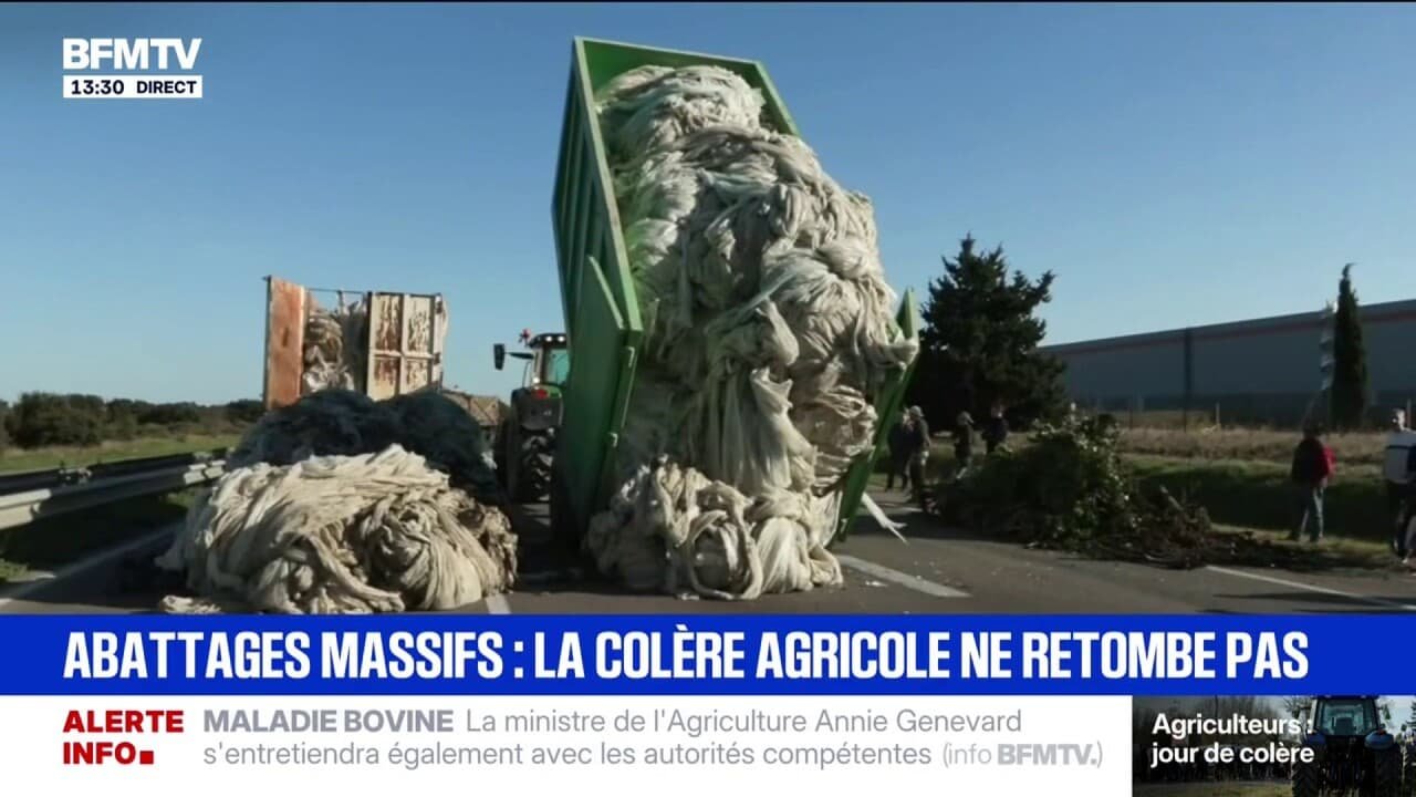 Dermatose bovine: les agriculteurs « mettent fin » au blocage à Saint-Martin-de-Crau et « déversent des bennes » sur l’autoroute