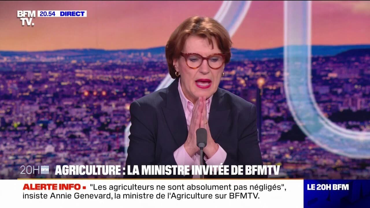 Annie Genevard (ministre de l’Agriculture): « C’est plus facile de surtransposer que de désurtransposer »