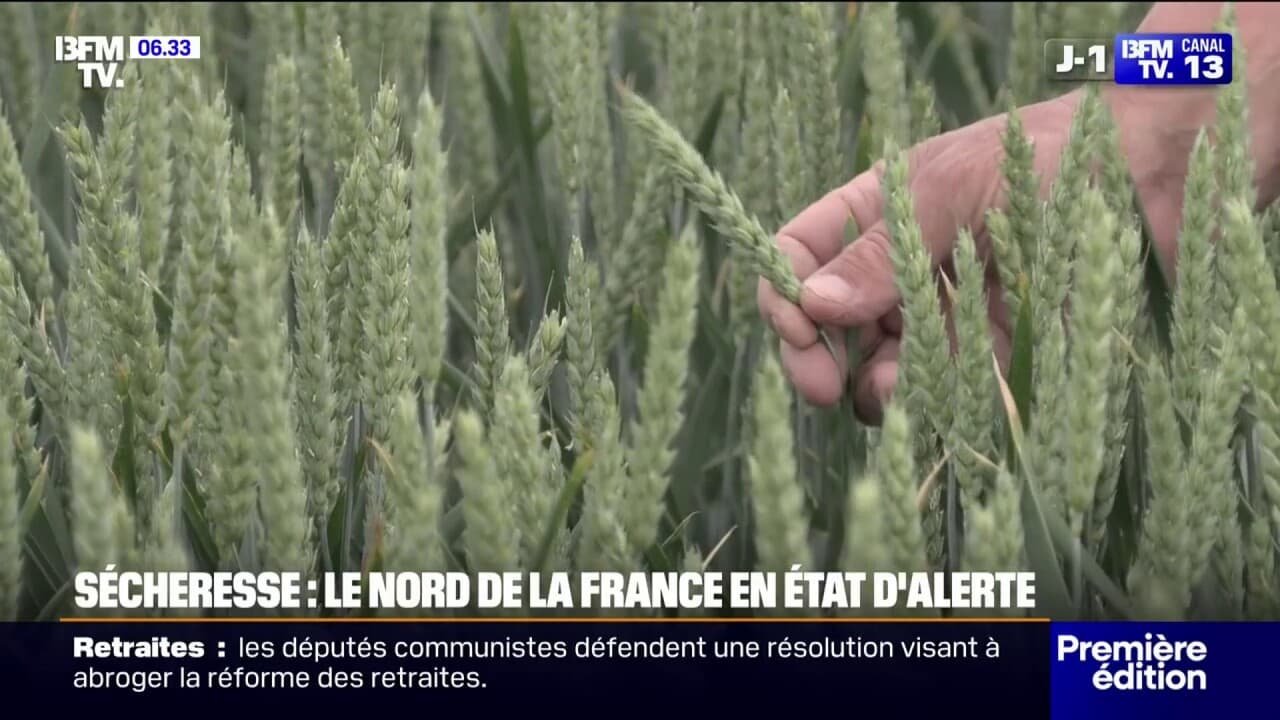 Sécheresse: le nord de la France en état d’alerte