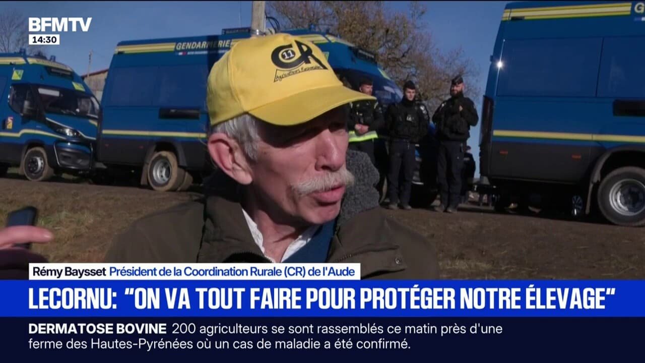 Dermatose bovine: la colère des agriculteurs face à la politique d’abattage menée par l’État