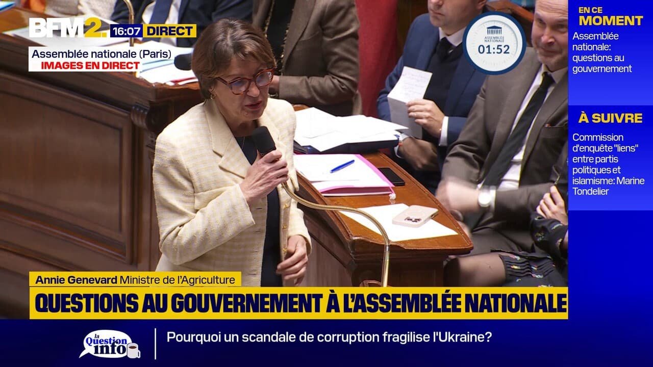 Crise agricole: « Votez le Budget ! », lance la ministre de l’Agriculture Annie Genevard à l’Assemblée