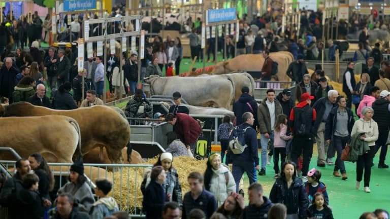 INFO BFMTV. Rougeole: plusieurs cas identifiés « chez des personnes ayant fréquenté le Salon de l’agriculture »
