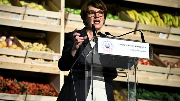 La politique agricole c’est +86% aux Etats-Unis, +40% en Chine… et -19% en Europe: la ministre de l’Agriculture Annie Genevard appelle à arrêter la « décroissance » agricole