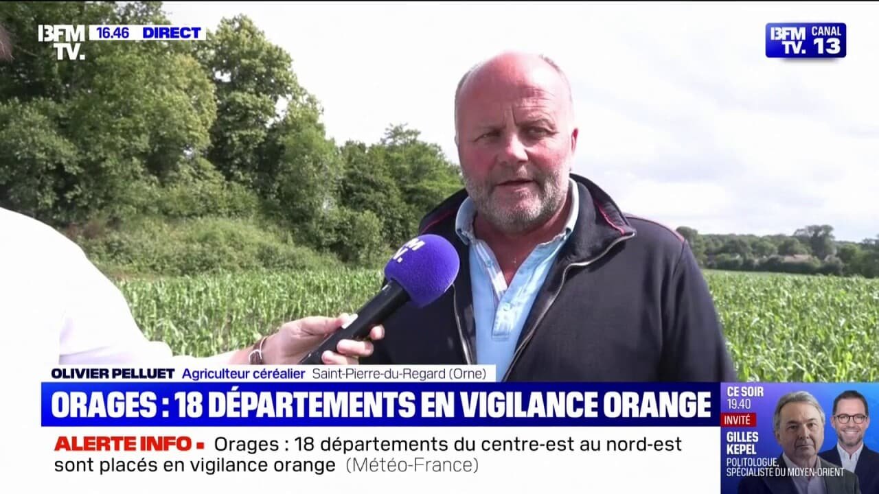 Cet agriculteur de l’Orne estime entre « 30 à 50% » les pertes sur ses récoltes après le passage de violents orages