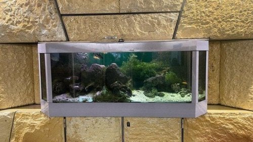 Lille: deux pétitions pour le retrait d'aquariums dans le métro recueillent près de 20.000 signatures