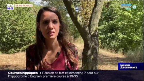 "Il a commencé à me poser des questions très intimes": le témoignage de Rim, harcelée par un commandant de police à Épinay-sur-Seine