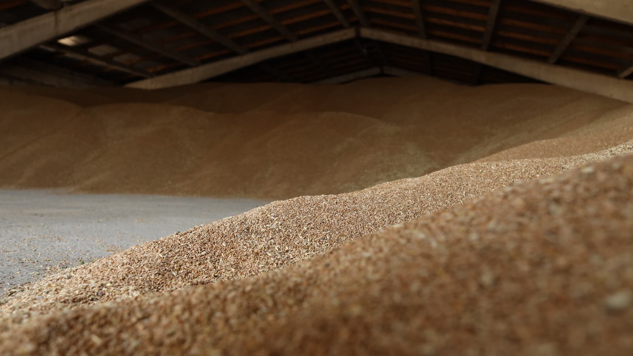 L’Union européenne importera moins de produits agricoles ukrainiens à partir de juin