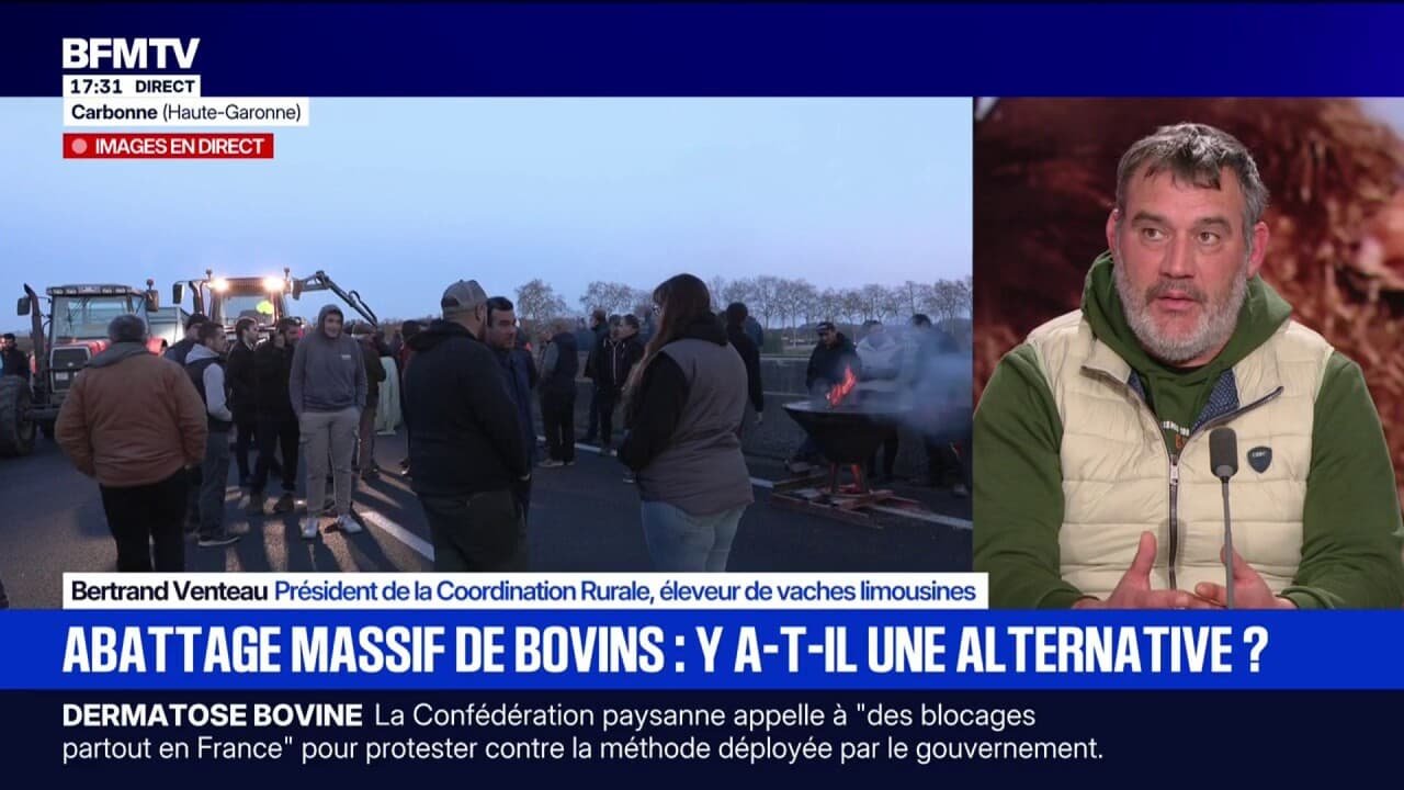 Dermatose bovine: Bertrand Venteau, président de la Coordination Rurale, appelle à « vacciner [les animaux] pour être protégé le plus vite possible »