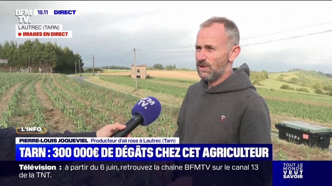 Tarn: ce producteur d’ail rose a perdu la totalité de ses plants à cause du passage de la tempête de grêle