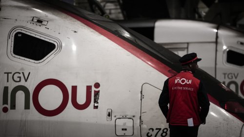 Un chat sous le TGV? La SNCF retardera désormais le départ de 20 minutes maximum