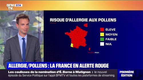 Risque d'allergie aux pollens: la France en alerte rouge