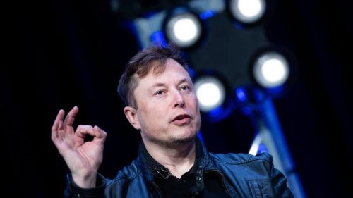 Fiasco de la certification payante: Elon Musk avait été mis en garde par ses équipes